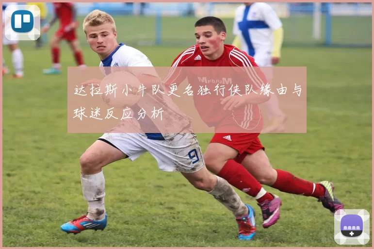 达拉斯小牛队更名独行侠队缘由与球迷反应分析