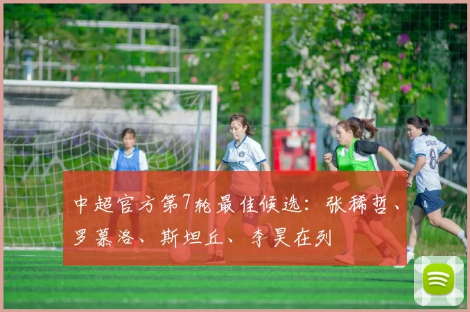 中超官方第7轮最佳候选：张稀哲、罗慕洛、斯坦丘、李昊在列
