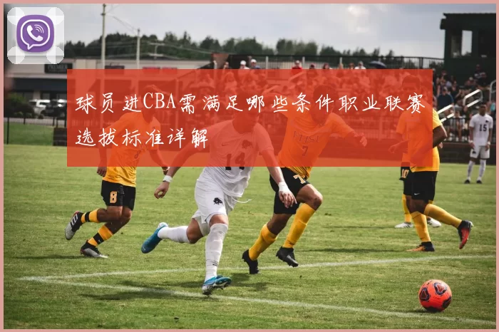 球员进CBA需满足哪些条件职业联赛选拔标准详解