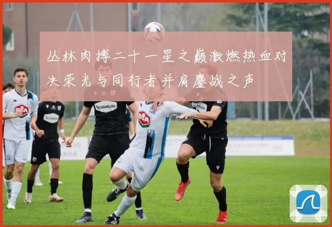 丛林肉搏二十一星之巅激燃热血对决荣光与同行者并肩鏖战之声