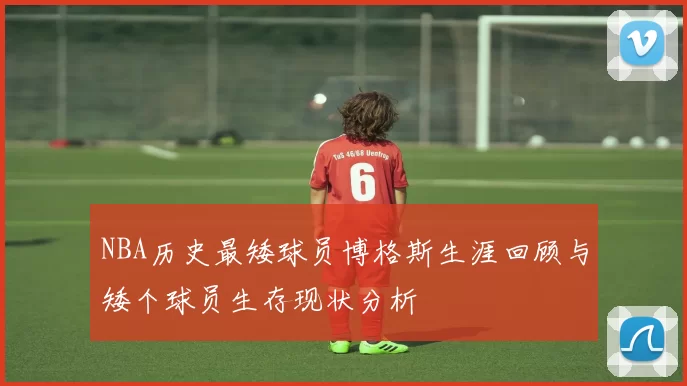 NBA历史最矮球员博格斯生涯回顾与矮个球员生存现状分析